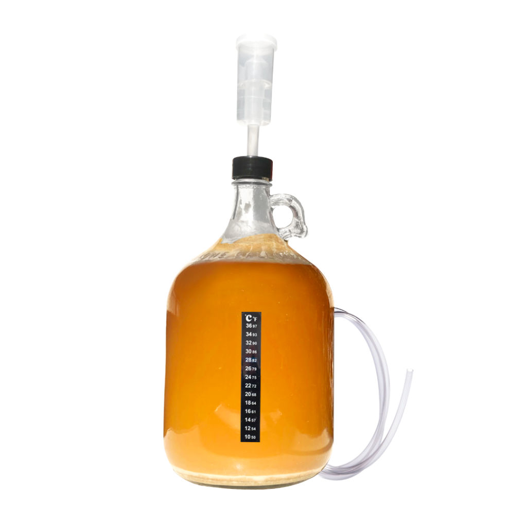 FERMENTADOR